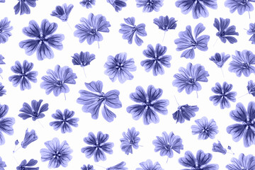 Pattern of violet flowers on white background, as backdrop or texture. Spring, Summer wallpaper. Top view Flat lay. Trendy color of year 2022