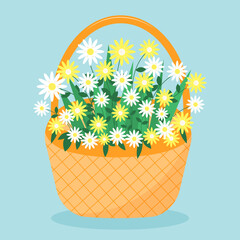 Flowers in the basket. Chamomiles in a wicker basket. Greeting card.