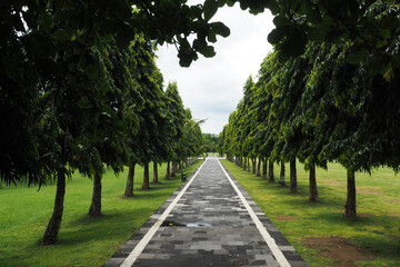 Very comfortable jogging track with trees around. Renon, Denpasar City, Bali Province, Indonesia