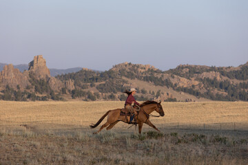 Wyoming Cowgirl on Bay horse - obrazy, fototapety, plakaty