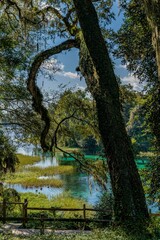 Obraz premium creative