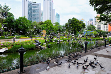 Naklejka premium bangkok park