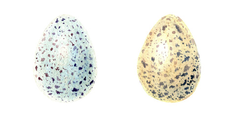 Two eggs. Symbols of Easter celebration. Good idea for healthy breakfast. Watercolor hand drawn painting illustration isolated on a white background