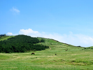 제주도 우도 아래서 바라본 풍경