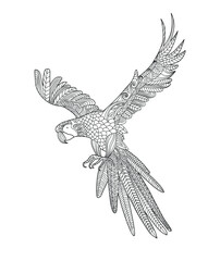 Ara parrot coloring page. Adult anti-stress coloring book. Zentangle. Black and white bird  doodle sketch © Kate