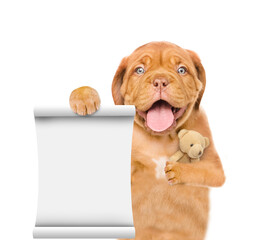 Yawning Mastiff puppy hugs toy bear and shows empty list.  Isolated on white background