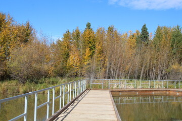 Boardwalk To Autumn Woods, Elk Island National Park, Alberta