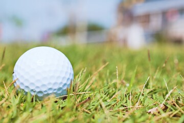 golf ball on the green