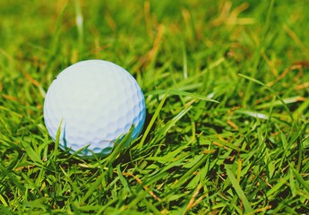 golf ball on green grass