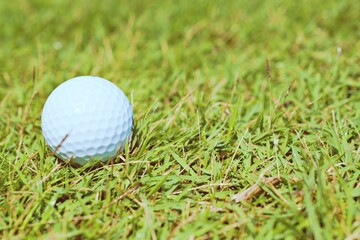 close up golf ball on green grass