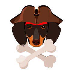 Dachshund pirate dog on a white background. Cartoon design.
