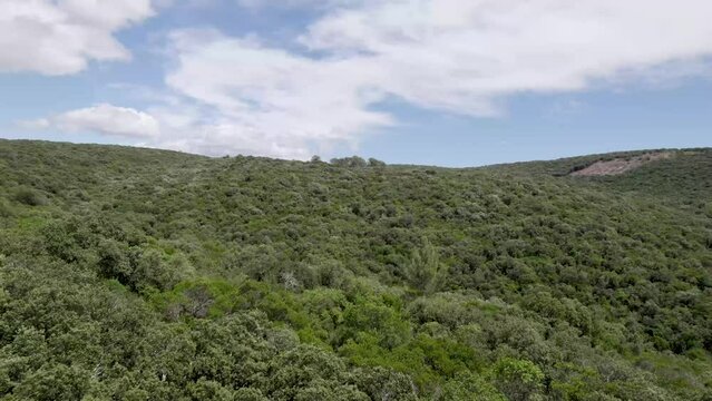 View of the forest covered mountains near Montpelier and Gignac in Souther France, Aerial flyover shot