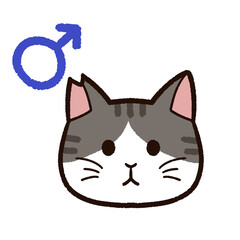 さくらねこ　オス