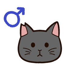 さくらねこ　オス