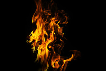 Fototapeta premium Fire flames on a black background