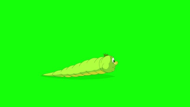 Green Caterpillar Crawling. Handmade Animated 4K Footage Isolated On Green Screen