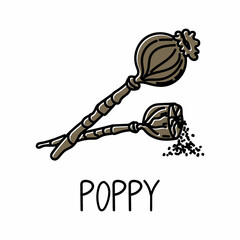 Poppy, hand-drawn doodle style element. Logo and emblem packaging design template - spice - poppy boxes. Logo in a trendy linear style.
