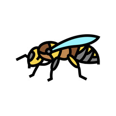 bee insect color icon vector. bee insect sign. isolated symbol illustration