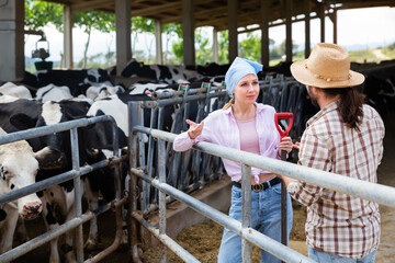 Young proffesional farmers talking during pause near fence at cow farm