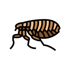 flea insect color icon vector. flea insect sign. isolated symbol illustration