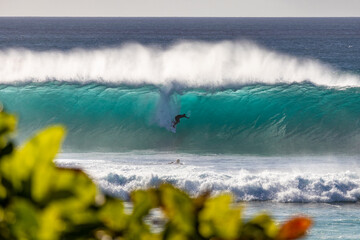 Hawaiian Surf - obrazy, fototapety, plakaty