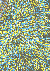 Abstract Modern colorful wavy poster. Wave shape in blue color background.  design for your design project. 