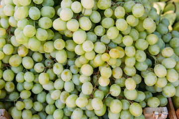 Fresh ripe fruits on the market in boxes