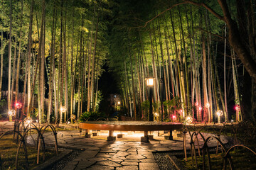 冬の夜にライトアップされた修善寺温泉街の遊歩道