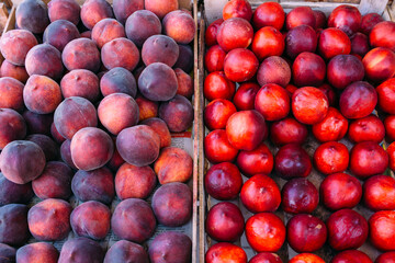 Fresh ripe fruits on the market in boxes
