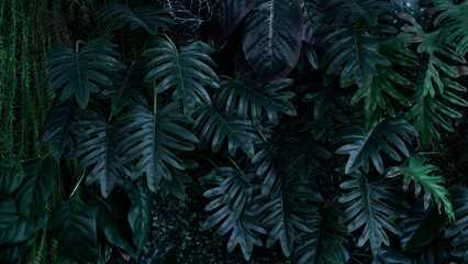 Naklejka na ściany i meble Creative nature green background, tropical leaf banner or floral jungle pattern concept.
