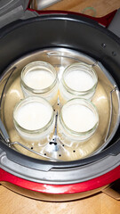 homemade yogurts in the yogurt maker machine