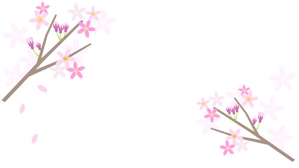Obraz na płótnie Canvas シンプルかわいい桜の背景イラスト