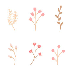 Set of spring twigs and flowers in a cozy rustic style of pink and beige. Vector simple uncomplicated illustration for design, decoration of postcards, invitations. - obrazy, fototapety, plakaty