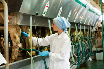 Farm milkmaid woman in bathrobe and gloves standing near automatical cow milking machines