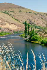 Fototapeta premium landscape with river