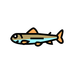 fry salmon color icon vector. fry salmon sign. isolated symbol illustration