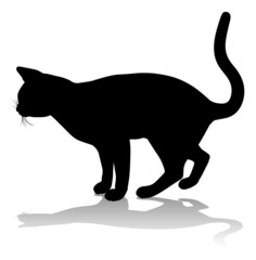 Silhouette Cat Pet Animal