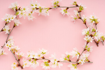 Obraz na płótnie Canvas ピンクの背景に置いた桜