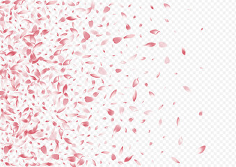 Light Sakura Vector Transparent Background.