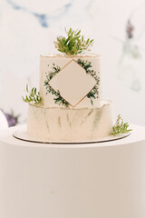 Beautiful white two-tiered cake with green flowers and free space for text