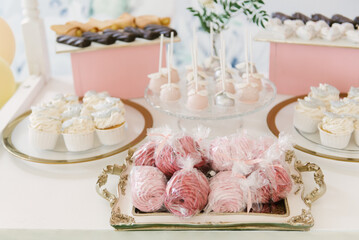 Beautiful candy bar decor with homemade craft marshmallows and cupcakes