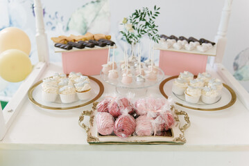 Obraz na płótnie Canvas Beautiful candy bar decor with homemade craft marshmallows and cupcakes