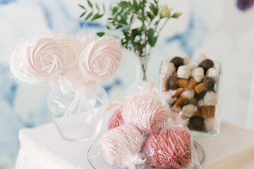 Beautiful candy bar decor with homemade craft marshmallows and cupcakes