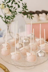 Beautiful candy bar decor with homemade craft marshmallows and cupcakes