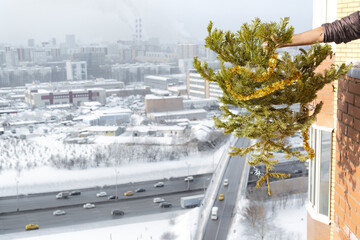 Concept the ending of holidays and celebrations. Man throwing away felled tree from his home after Christmas and New year.