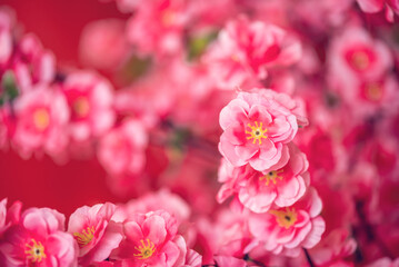 spring romantic peach flowers poster background material