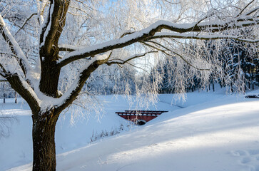 Winter Alexander park in snow, Pushkin (Tsarskoe Selo), St. Petersburg, Russia