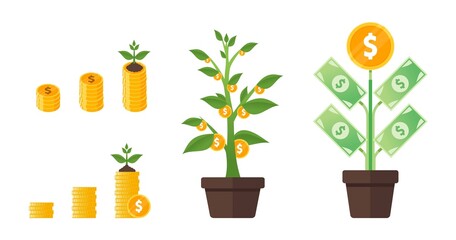 Business or Investment Money Tree