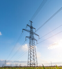power lines in the spring in a green wheat field