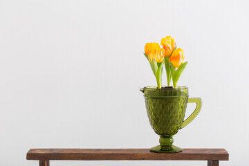 blooming tulips grow in  decorative pot on  white background